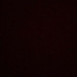 Meet your Posher, Shantell